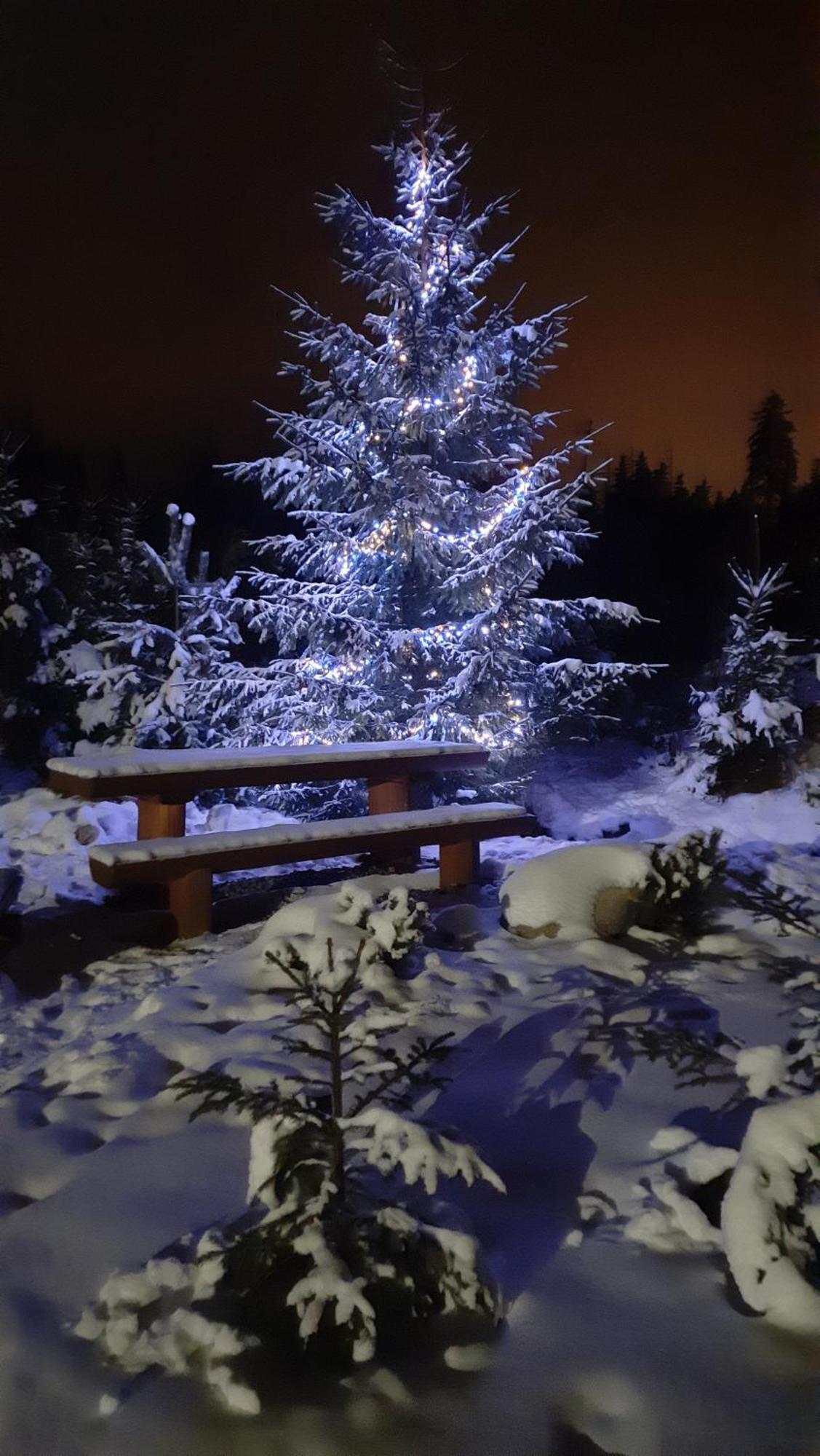 Goralska Chata Przy Dolinie Chocholowskiej Witów Εξωτερικό φωτογραφία