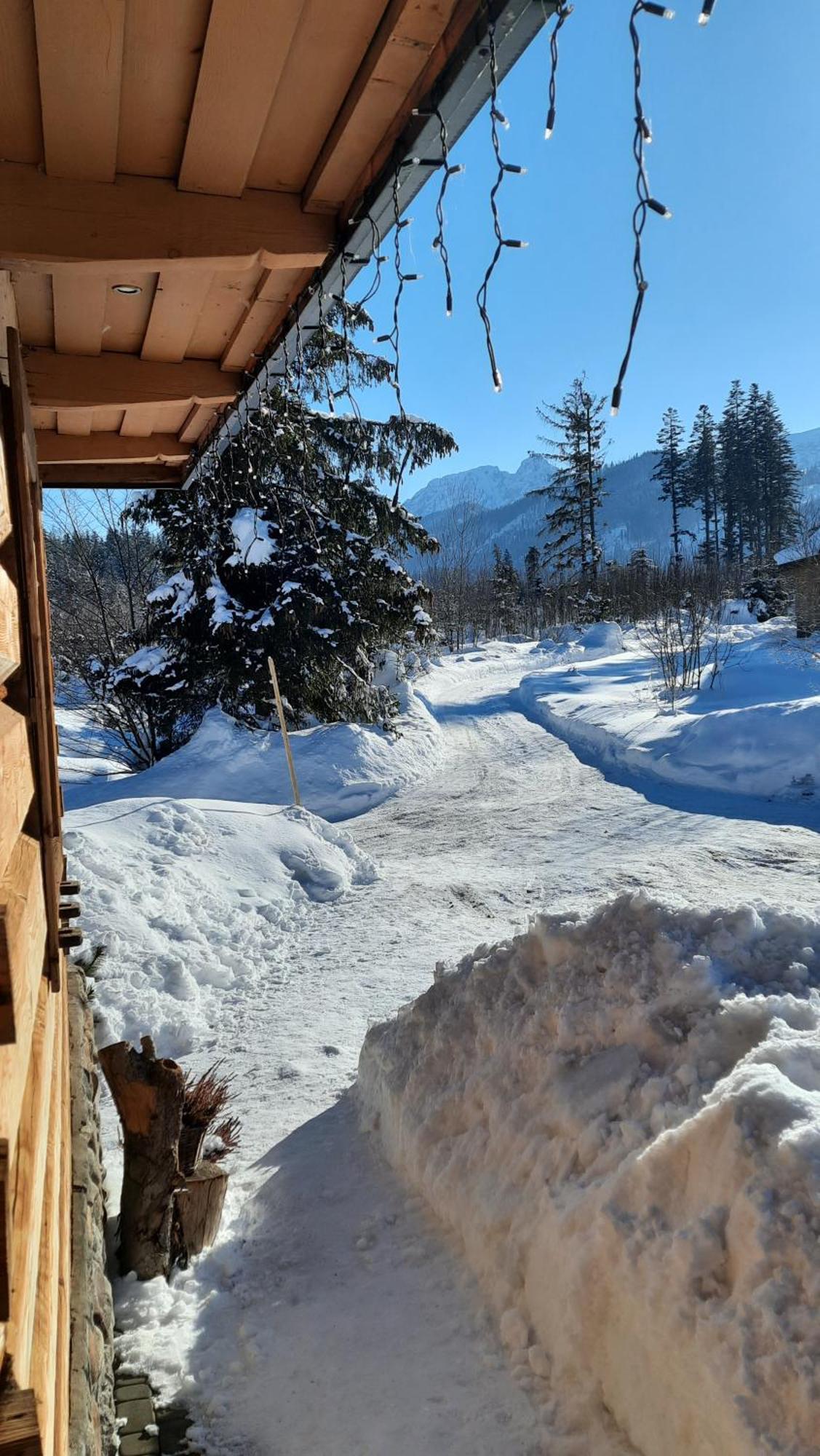 Goralska Chata Przy Dolinie Chocholowskiej Witów Εξωτερικό φωτογραφία